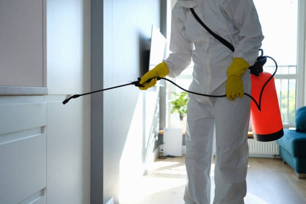 Best Mold Prevention Services  in USA